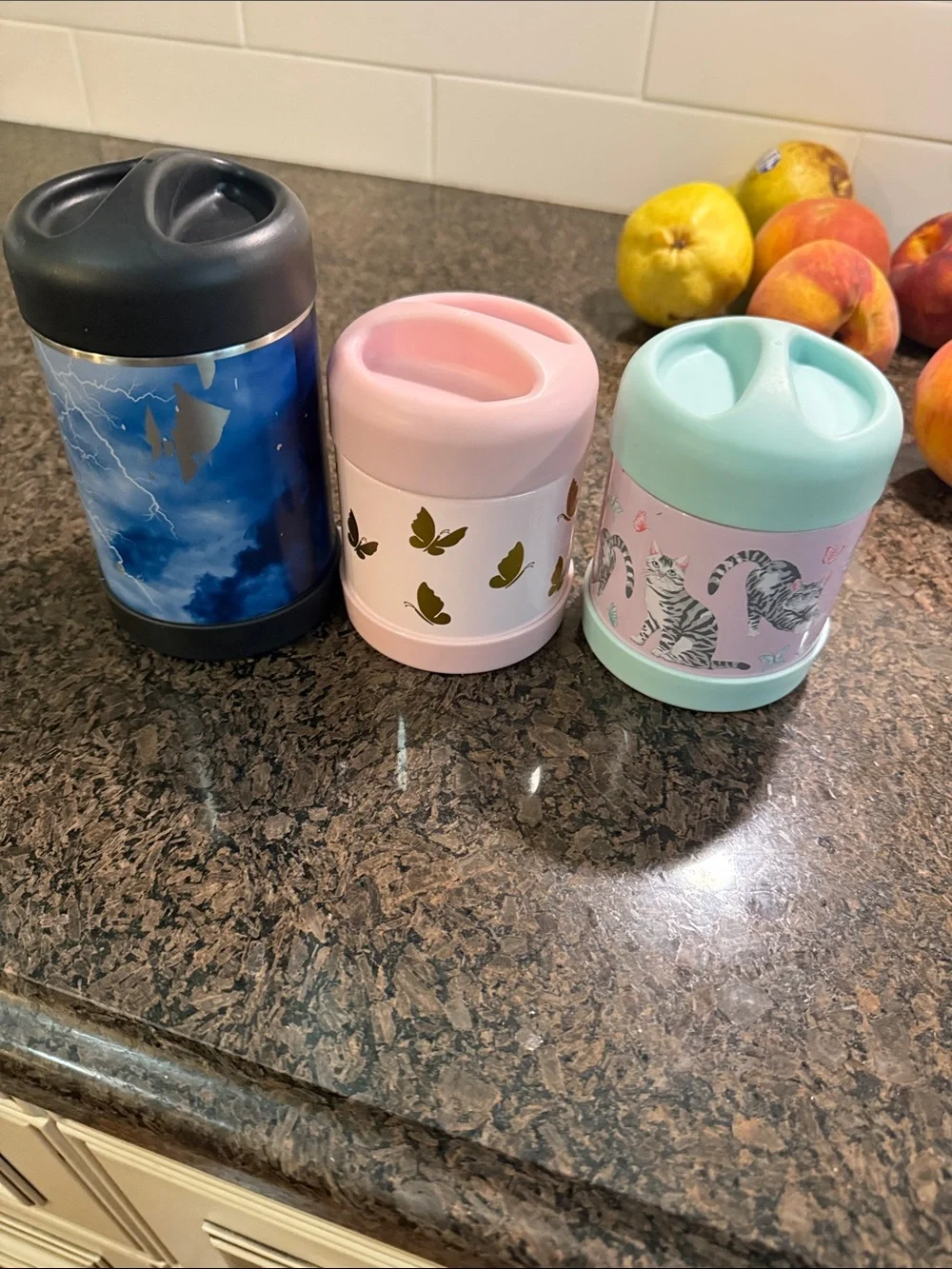 Pottery barn kids hot food containers